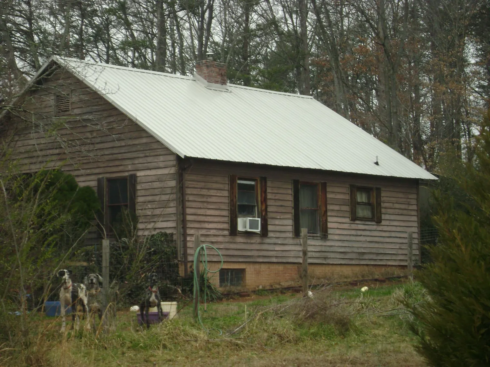 White metal roof on an old wood sided farmhouse, from a Asphalt Shingle Roof Repair job in Stayton